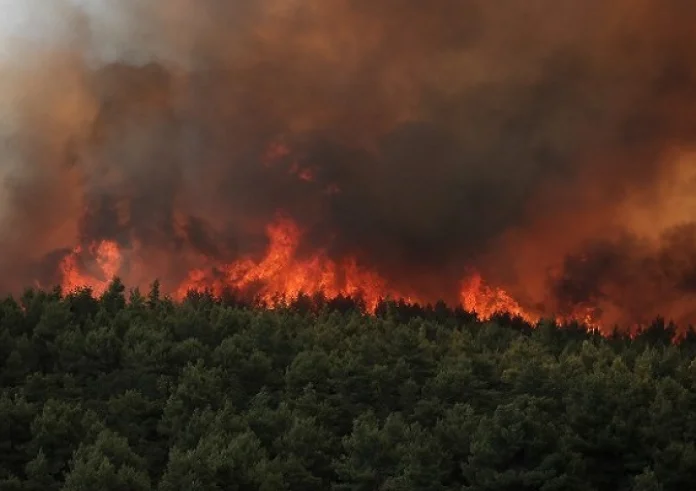 Φωτιές σε Ασπρόπυργο, Σπάρτη, Καλάβρυτα και Λαμία, 112 για την πυρκαγιά στην Αργολίδα – Συναγερμός στην Πυροσβεστική