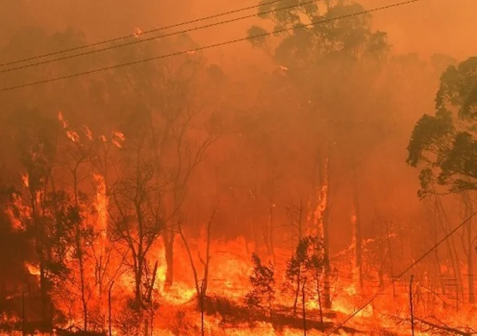 Εκπομπές δισεκατομμυρίων τόνων CO2 προκάλεσαν οι πυρκαγιές του 2023