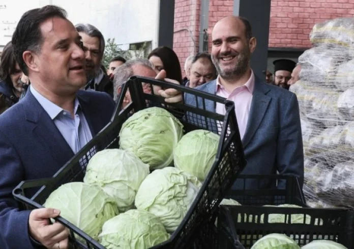 Άδωνις Γεωργιάδης: Κουβάλησε τελάρα με λαχανικά