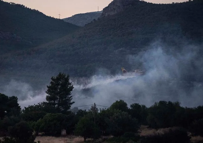 Φωτιά στον Έβρο: Τεράστια οικολογική καταστροφή στο δάσος της Δαδιάς