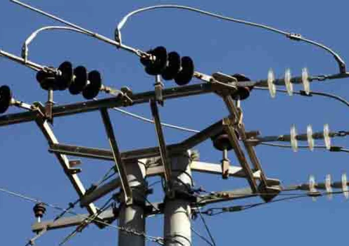 Τρίκαλα: Κουνάβι προκάλεσε black out στη μισή πόλη