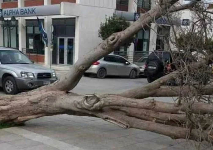 Προαστιακός: Διακοπή των δρομολογίων λόγω πτώσης δέντρου