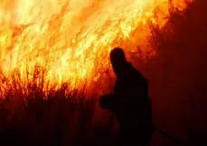 Φωτιές: Το προφίλ των εμπρηστών, τα κίνητρα και οι μέθοδοί τους - Έρχονται πρόστιμα έως και 30.000 ευρώ