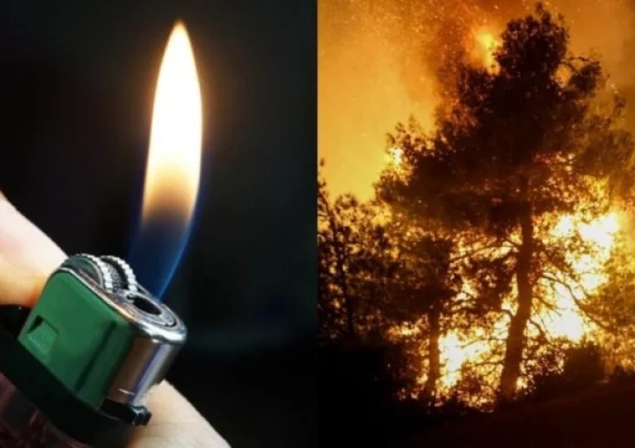Προφυλακιστέος ο 45χρονος για τον εμπρησμό στον Αυλώνα - Διαταγή για ψυχιατρική πραγματογνωμοσύνη