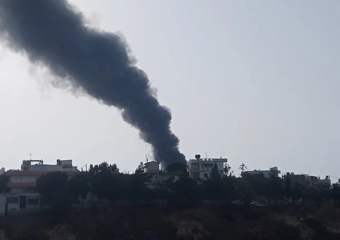 Φωτιά στην Αυλίδα Ευβοίας: Στο σημείο Πυροσβεστική και ομάδα εθελοντών