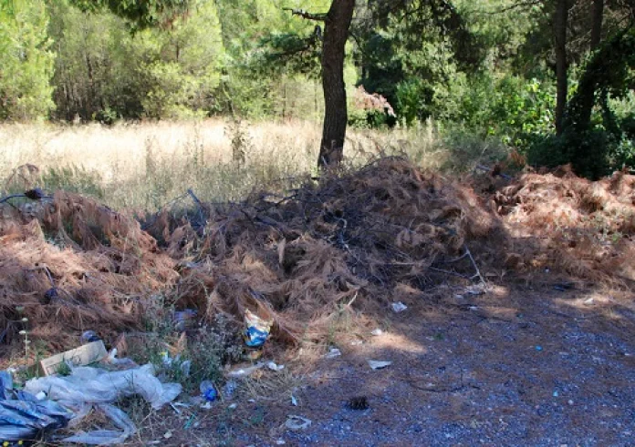 Φωτιά τώρα: Πυρκαγιά στη Σαλαμίνα - Κοντά στα σπίτια οι φλόγες
