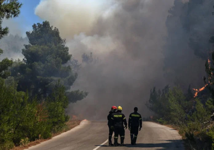 Φωτιά στον Έβρο: Αυξάνεται ο αριθμός των νεκρών μεταναστών – Δεκάδες βρέθηκαν απανθρακωμένοι στο δάσος της Δαδίας