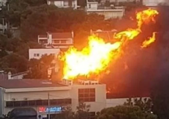 Στάχτη έγιναν 20.000 στρέμματα σε Πεντέλη, Γέρακα και Παλλήνη. Επείγουσα εισαγγελική έρευνα