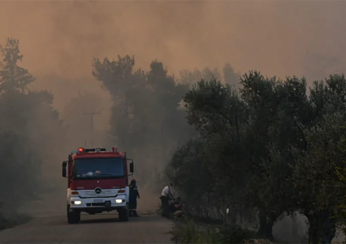 Λέσβος: Συνελήφθη γυναίκα για εμπρησμό στην Ερεσό