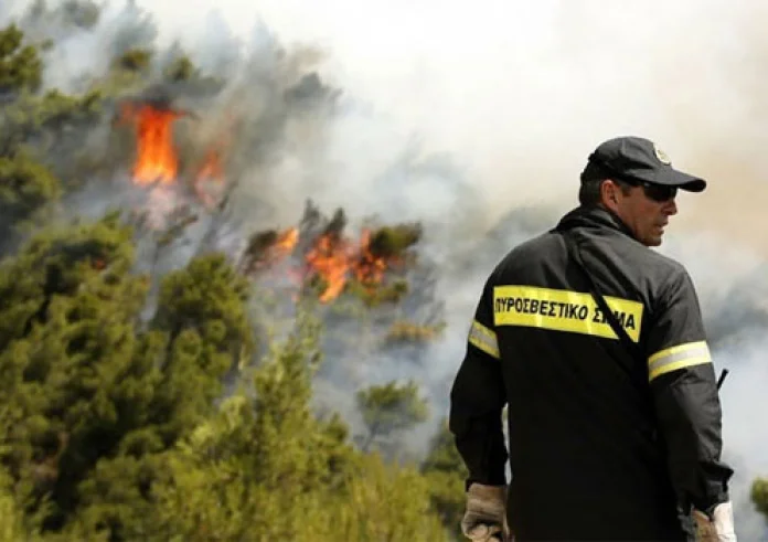 Φωτιά στην Άρτα – Μάχη με τις φλόγες και στην Κάρυστο