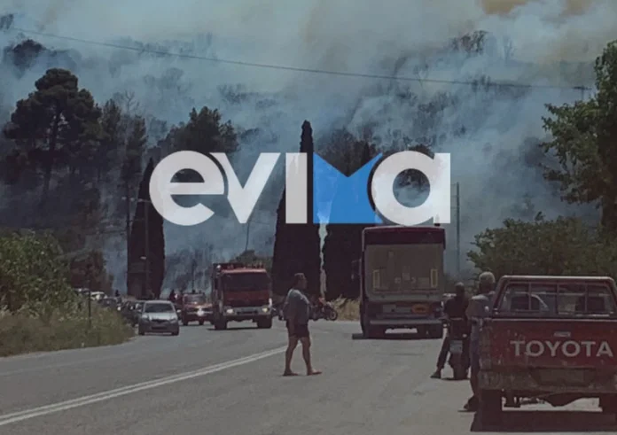Φωτιά ΤΩΡΑ στο Αλιβέρι – Πνέουν ισχυροί άνεμοι