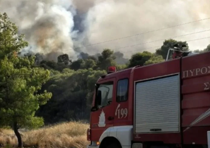 Φωτιά στην Πάρο: Συνεχίζεται η μάχη της κατάσβεσης – Ενισχύονται οι δυνάμεις