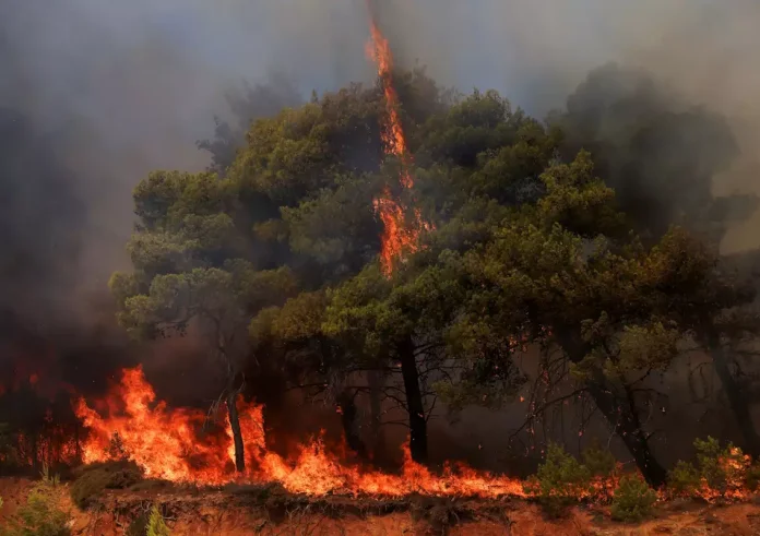 Εύβοια: Από χορτοκοπτικό ξεκίνησε η φωτιά στην Κάρυστο, μια σύλληψη