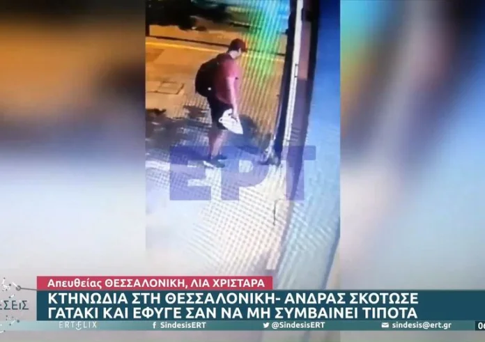 Κτηνωδία στη Θεσσαλονίκη - Άνδρας σκότωσε γατάκι και έφυγε σαν να μην συμβαίνει τίποτα