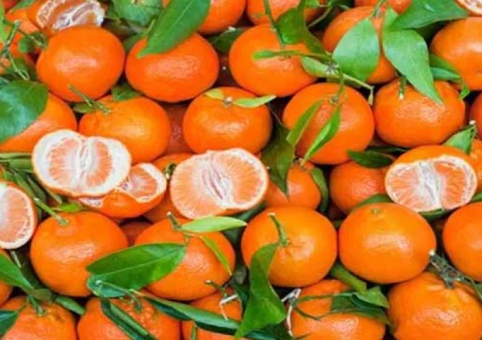 Αφράτα σπιτικά μπισκότα με γεύση μανταρίνι