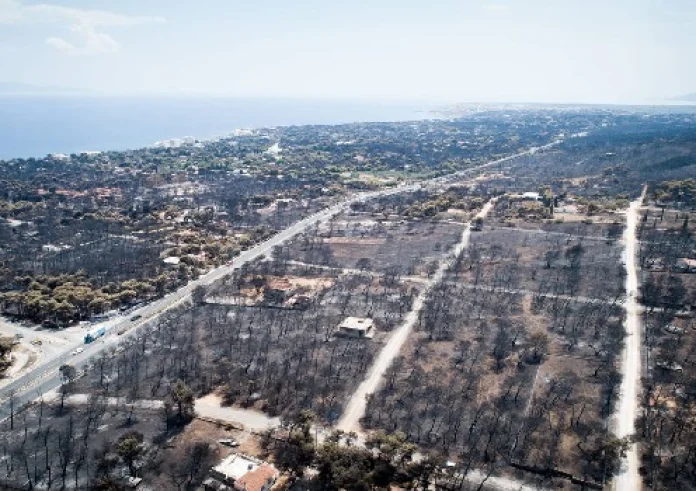 Αυτό το σπίτι στο Μάτι άφησε τους δασολόγους με ανοιχτό το στόμα