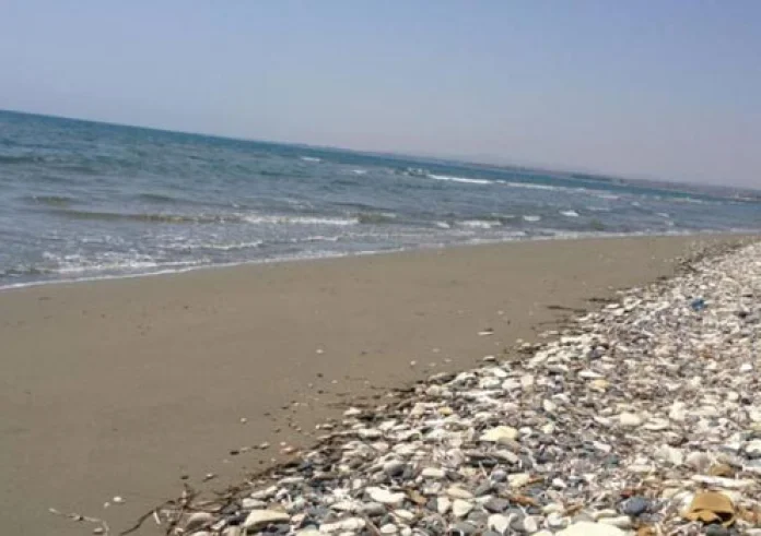 Σε άνδρα ανήκουν τα οστά που εντοπίστηκαν σε παραλία στην Κύπρο