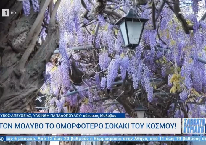 Στην Ελλάδα το πιο όμορφο σοκάκι του κόσμου – Δείτε πού βρίσκεται