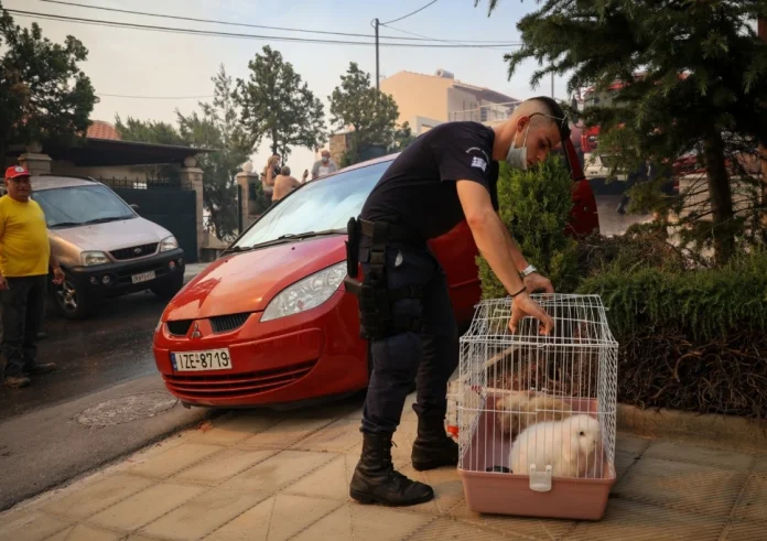 Φωτιά στη Βούλα: Μεγάλη αναζωπύρωση, κάηκαν σπίτια – Ώρες αγωνίας για τους κατοίκους