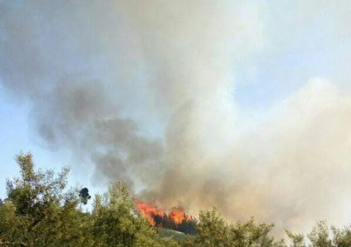 Φωτιά στον Ασπρόπυργο - Πνέουν ισχυροί άνεμοι