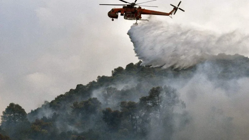 Πύρινο μέτωπο στην Ηλεία: Μεγάλη φωτιά στον Ελαιώνα – Στη μάχη εναέρια μέσα και ισχυρές δυνάμεις